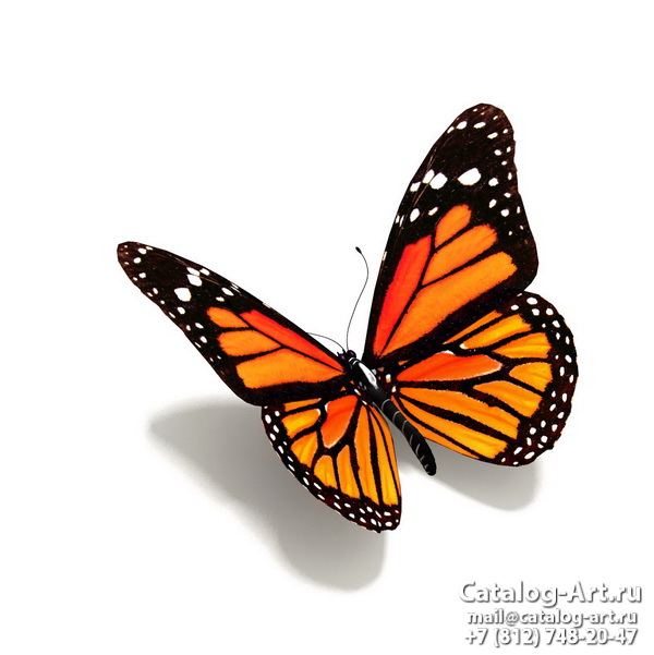  Butterflies 82